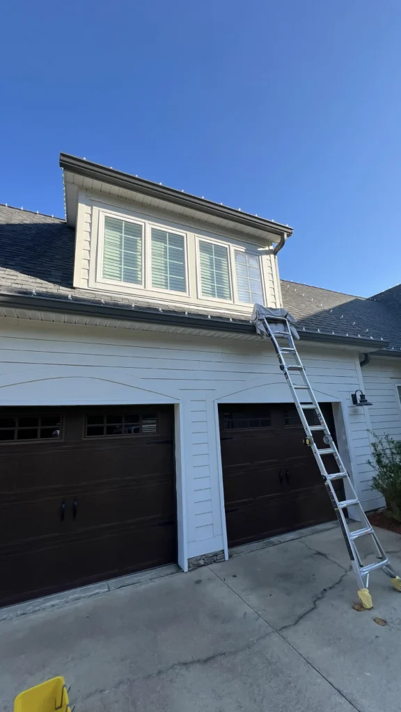 ecologic window cleaning 65
